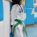 용인대 태권도장 이미지