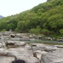 고향산천 Daum카페