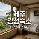 소공원 | 제주소공원스테이 예약 팁과 Room2 숙박 후기 한경면 감성 숙소