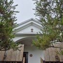 제이든 29 이미지