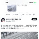 와 스키 출근한 사람 크로스컨트리 국대출신인가봐 이미지