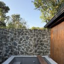 제주윤채 이미지