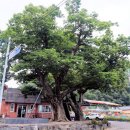 운산1리마을회관 이미지