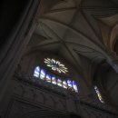 엑스피아 이미지