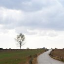 새동네목장 이미지