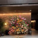 비(B)호텔 | [아이랑 호캉스] 아난티 앳 강남 캐빈 B 수영장 있는 호텔 후기