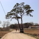 초대1리 마을회관 이미지