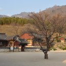 표충사 2 이미지