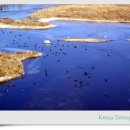 장매마을 이미지