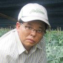 농사꾼홍삼