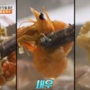 내고향맛칼국수 이미지