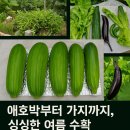 오늘도기쁨33