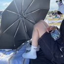 뚜뚜루 | 2025 부산국제록페스티벌 금/토 후기 : 나는 아직도 삼rock에 살아,,