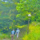 양덕리고인돌 이미지