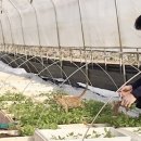 예슬농장 이미지