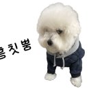 언양돼지갈비 이미지