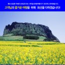 (주)강서관광여행사