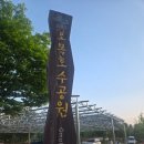 국립산림과학원 산림생명자원연구부 | 수원 숨은 명소] 아들도 모르는 비밀의 숲, 오목호수공원과 국립산림연구원 새벽 산책 (동네여행 개꿀여왕)