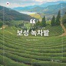 보성주차장 | 전남 여행 보성 녹차밭 관람코스 말차 아이스크림 기념품 구입 후기