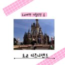 도쿄 여행 2일차 도쿄 디즈니랜드 후기 티켓 구입 방법