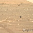 공주필립광고