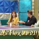 플렉스(FLEX) 이미지