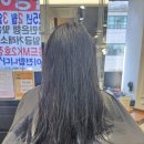 살롱;지연 이미지