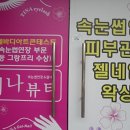 티나뷰티&바디