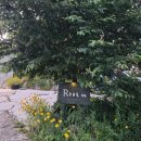 레스트44 이미지