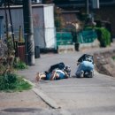 호시카와
