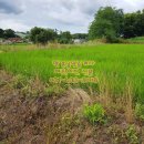 알프스부동산공인중개사사무소 이미지