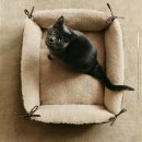 큰나무몰 | 자라홈 잠실 롯데월드몰점 리빙 인테리어 추천템 쇼핑템 후기