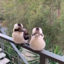 (주)우니소프트 | 7-8월 블로그_ 블챌 시작이래요,,,