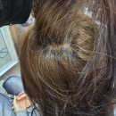 보문역 미용실 에이바헤어 보문역점, 치훈 디자이너1:1전담 염색후기