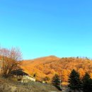 라 까시나 이태리 | 경기도 당일치기 캠크닉 명소 라까시나 이태리 방문 후기