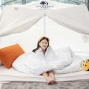 예지패키지