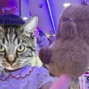 X-TOP 오락실 이미지