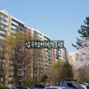 압구정-106 이미지