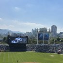 컴조이 | 종아리 압박스타킹추천 컴피리빙핏 3개월 사용 솔직 리뷰