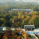 종로-종로-종로-종-257 이미지