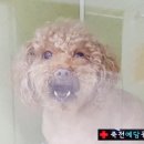 죽전예담동물병원 이미지