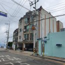 동조리젠시 이미지