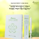 와이제이팜 네이버블로그