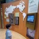 해맑은작은도서관 | 해남 공룡 박물관 아이와 가볼 만한 곳, 가족여행 추천