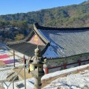 오묘화당 이미지