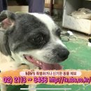 동철농장 이미지