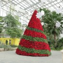 일월수목원전시온실 이미지