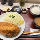 청담카츠 | 청담밥집 호시카츠 청담본점 내돈내산후기