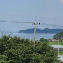 당근바다 이미지