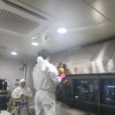 파더스클린 이미지